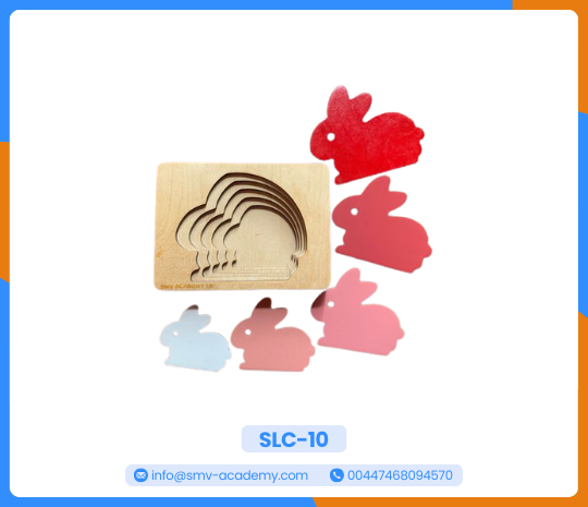 بازل أرنب متعدد الطبقات